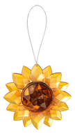 Sunrise Sunflower