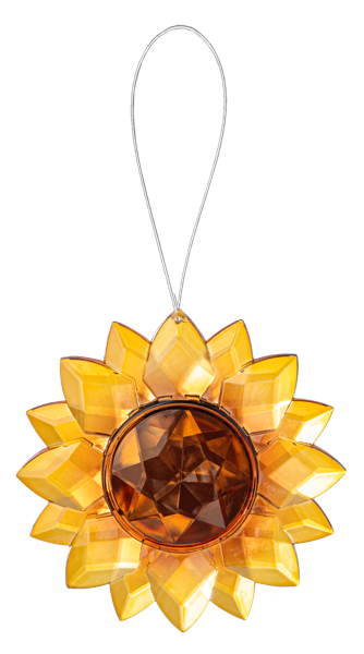 Sunrise Sunflower