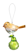 Partridge in a Pear Tree