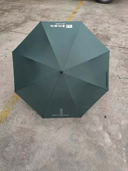 Compact Umbrella