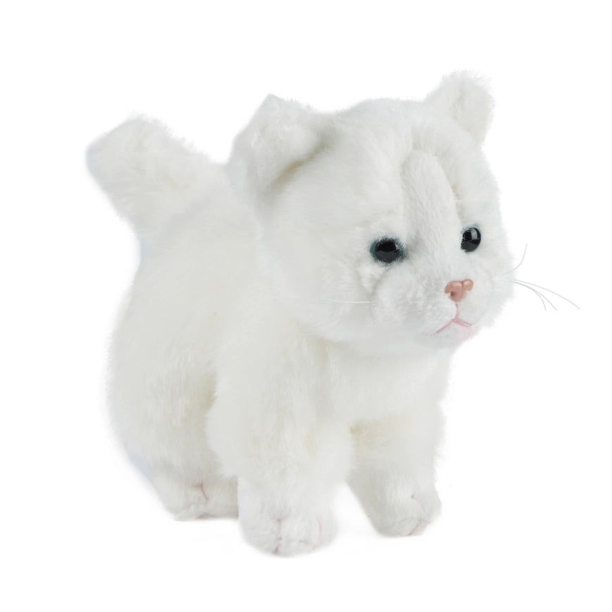 Small Cat Plush