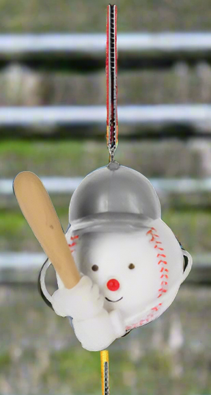 Sport Ball Ornaments
