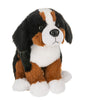 Webkinz Next Bernese Mountain Dog