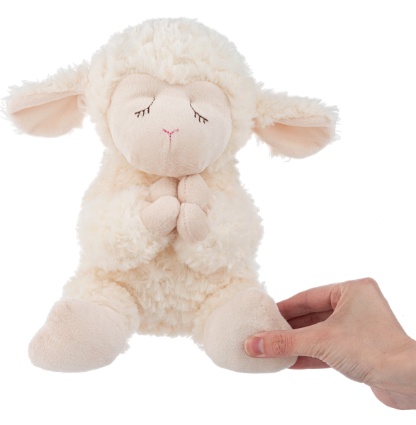 Lamb w/ Bedtime Prayer