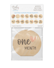 Milestone Photo Prop Set - Months