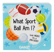 Sport Ball Spin Book