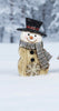 Woodland Lodge Snowman