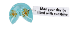 Fortune Favors the Bold Charms