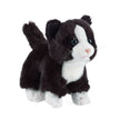 Small Cat Plush