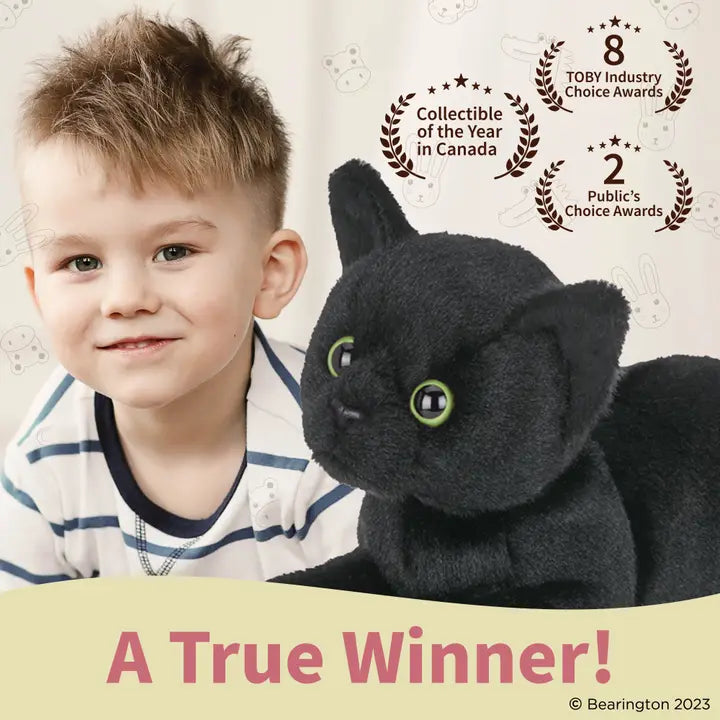 Stuffed Black Cat