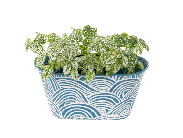 Embossed Wave Oval Planter
