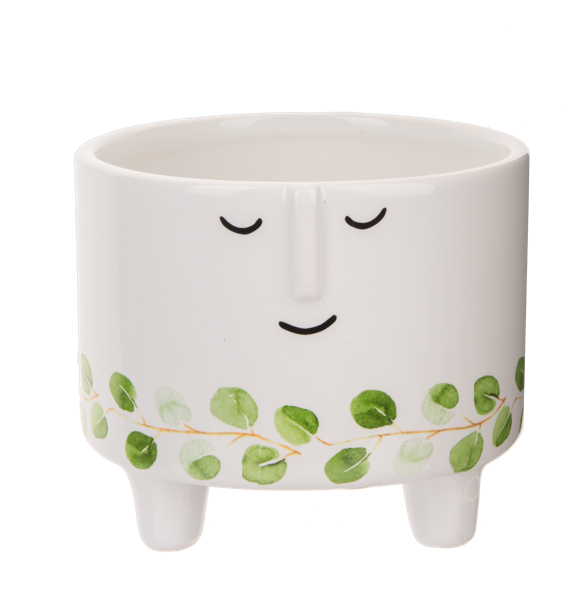 Face Planter