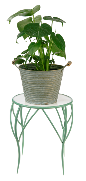 Sage & White Mini Table Plant Stand