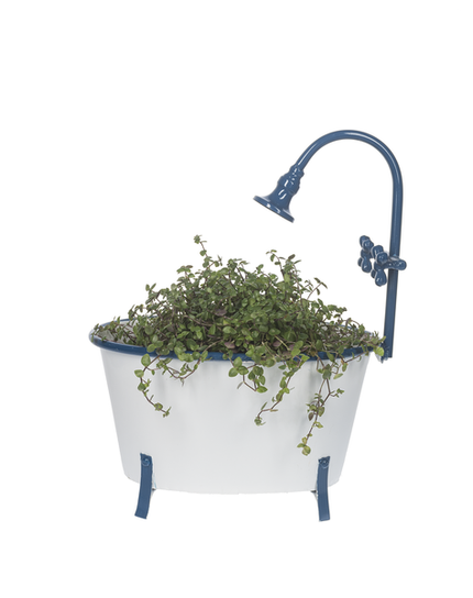 White and Blue Enamel Antique Tub Planter