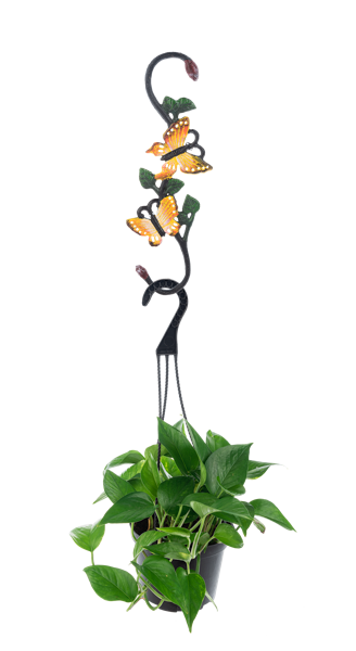 Cast Iron Plant Hanger