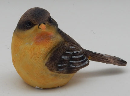 Baby Robin Figuring