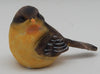 Baby Robin Figuring