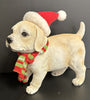 Puppy With Hats