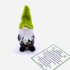 Little Magical Garden Gnome