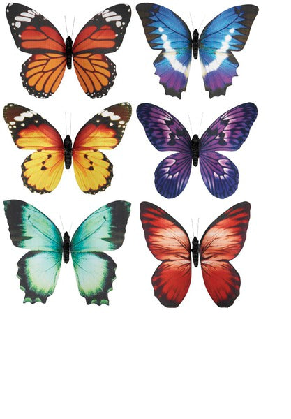 Butterfly Magnets