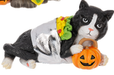 Food Costume Cat Figurines