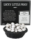 Lucky Little Piggy pocket charm