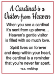 A Cardinal is a Visitor from Heaven Pocket Charm