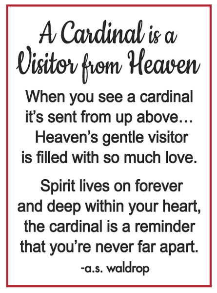A Cardinal is a Visitor from Heaven Pocket Charm