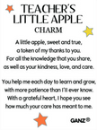 Teacher's little apple pocket charm