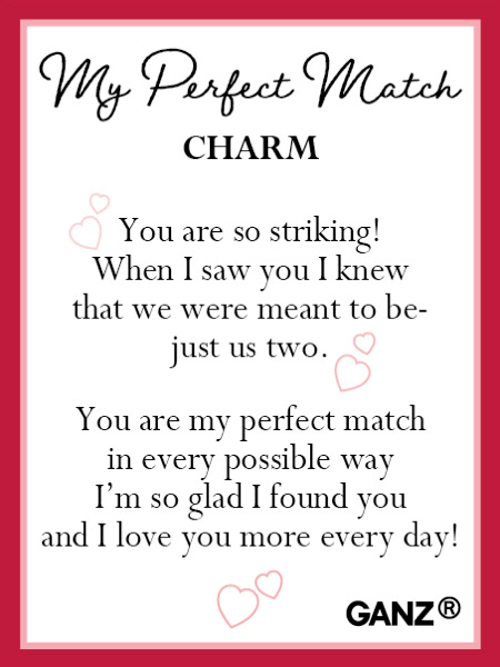 My Perfect Match Pocket Charm