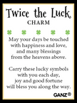Twice the Luck Charm