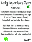 Lucky Leprechaun Shoes Charm