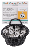 Best Wishes for Baby Charms