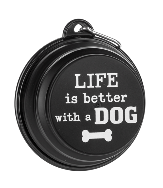 Collapsible Dog Bowl