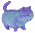 Squishy Kitties