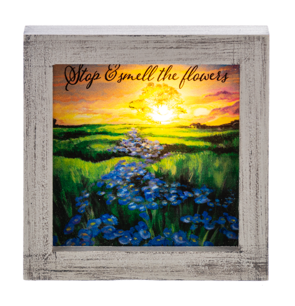 Light Up Scenic Block Talks