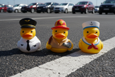 Career Duck Figurines