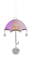 Ornament - When life gives you rain, play in the puddles