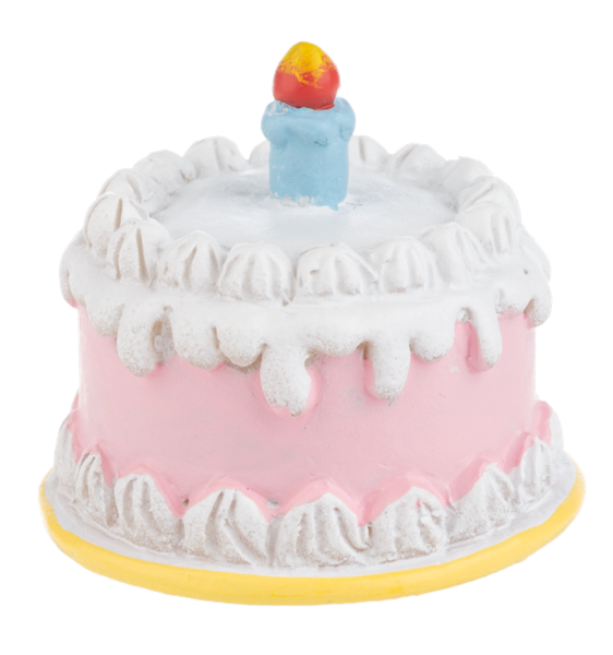 Birthday Cake Pocket Tocan