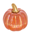 Iridescent Message Pumpkin