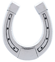 Lucky little horseshoe pocket charm