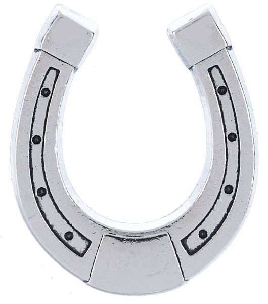 Lucky little horseshoe pocket charm