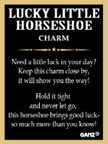 Lucky little horseshoe pocket charm