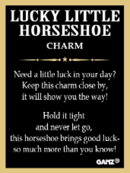 Lucky little horseshoe pocket charm