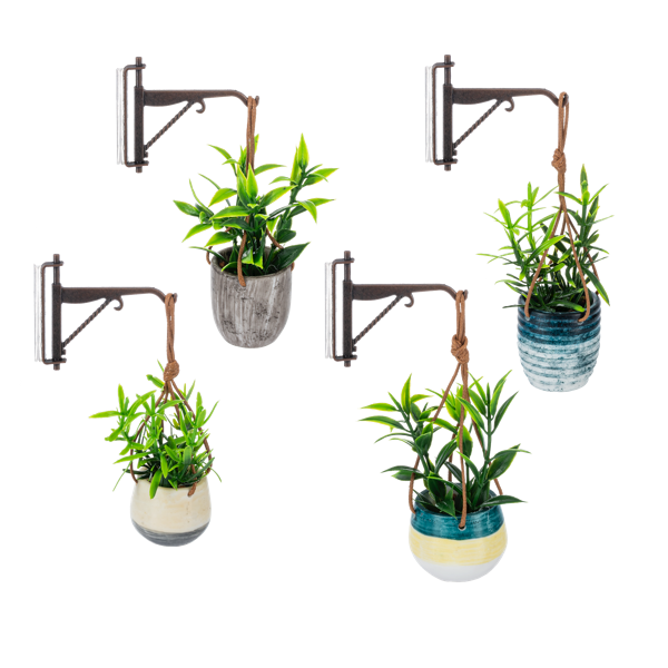 Mini Hanging Plant with Hook