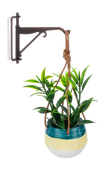 Mini Hanging Plant with Hook