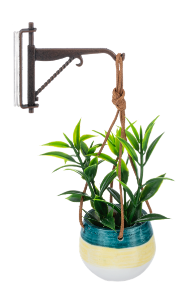 Mini Hanging Plant with Hook