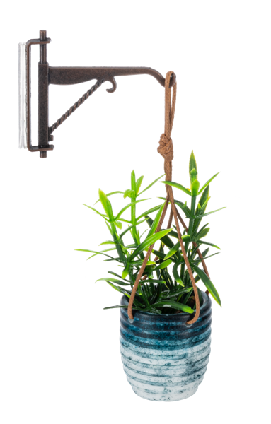 Mini Hanging Plant with Hook