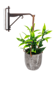 Mini Hanging Plant with Hook