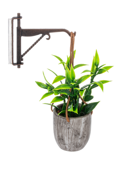 Mini Hanging Plant with Hook